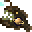 Angler Fish
